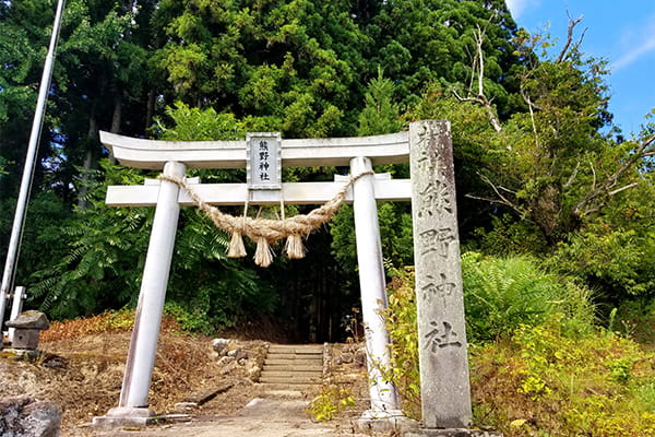 里山を散策