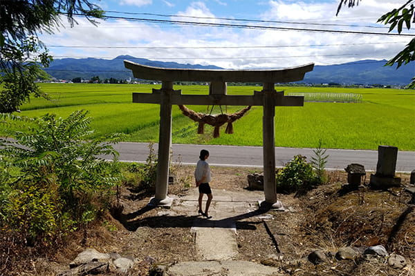 里山を散策