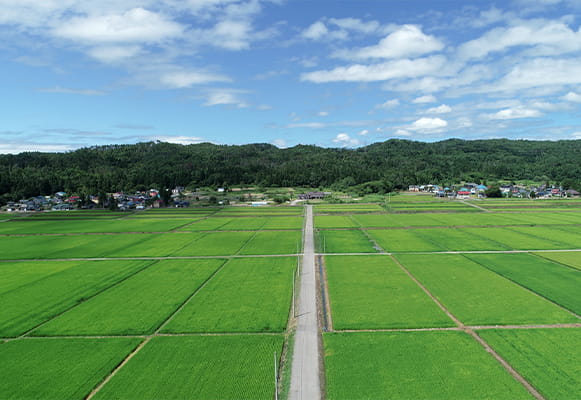 里山を散策