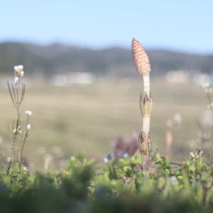 おすすめイメージ